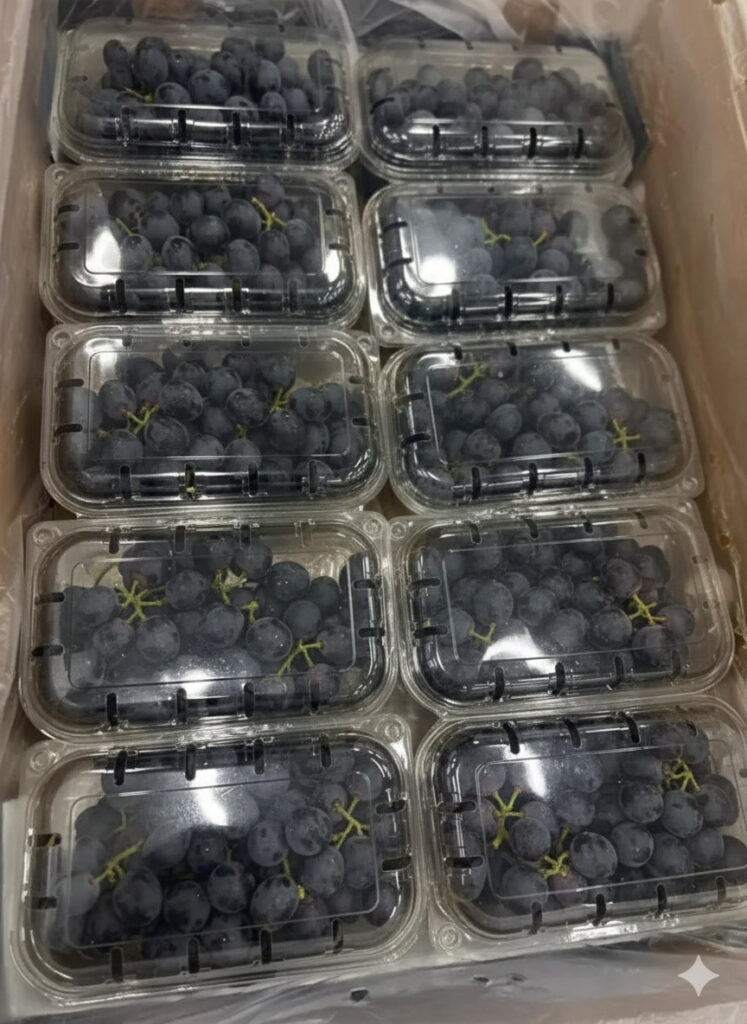 black magic grapes 4