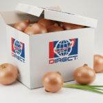 golden onions 2