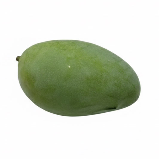 keitt mango 7