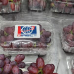 red crimson seedless grapes 4
