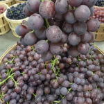 red flame seedless grapes 4