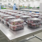 red flame seedless grapes 5