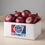red onions 3