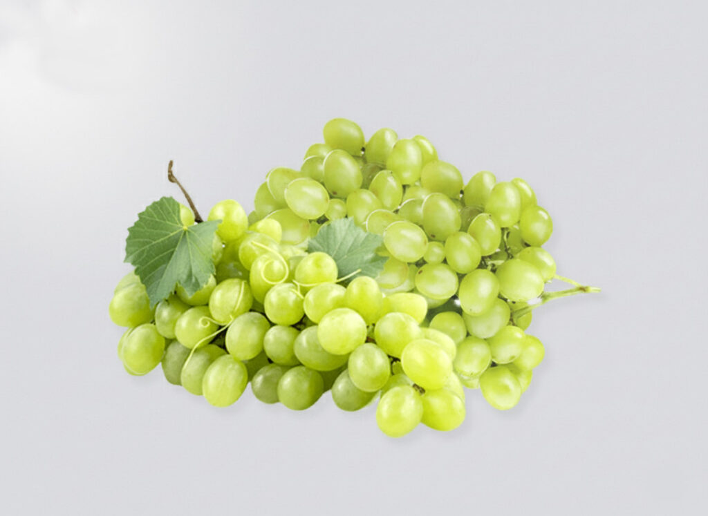 white sugraone seedless grapes 2